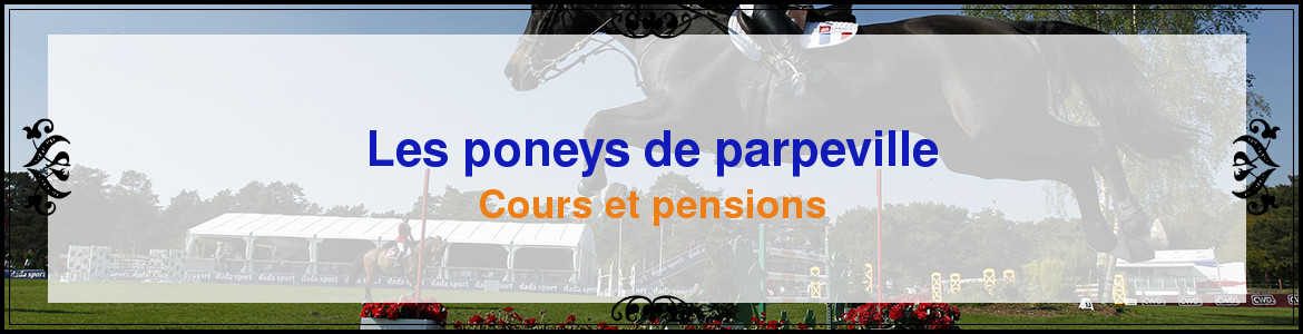 Les poneys de parpeville
